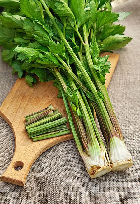 Сельдерей черешковый Юта 05 гр цвп 25₽