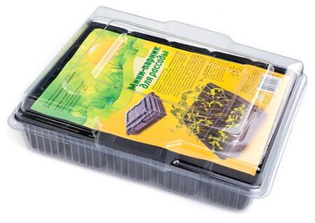 Мини-парник для рассадыподдон черныйкрышка прозрачная 34см26см7см 199₽