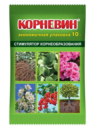 Корневин стимулятор корнеобразования 10 г 39₽