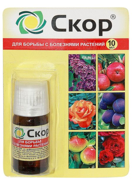 Скор амп10 мл 349₽