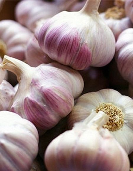 Чеснок Добрыня 1 уп 5 головок калибр 6 339₽