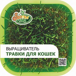 Проращиватель Здоровья КЛАД для зеленой травки 589₽