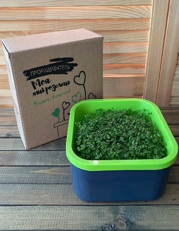 Проращиватель Моя микрозелень 599₽