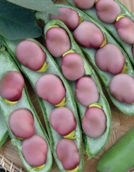 Бобы Черные Алмазы УД 6 шт цвп 23₽