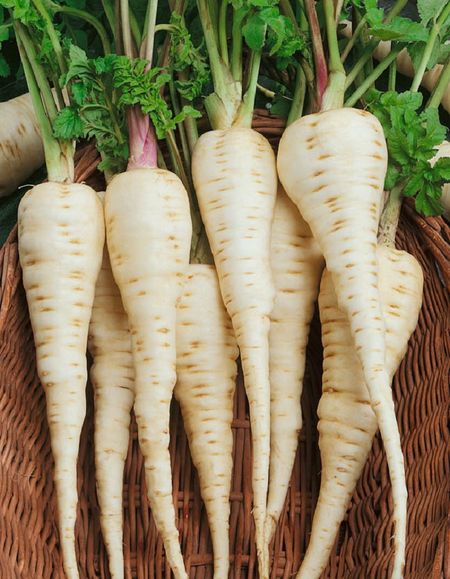 Пастернак Кулинар УД 05 гр цвп 17₽