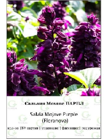 Сальвия Мохаве Парпл 100 шт Fn 189₽
