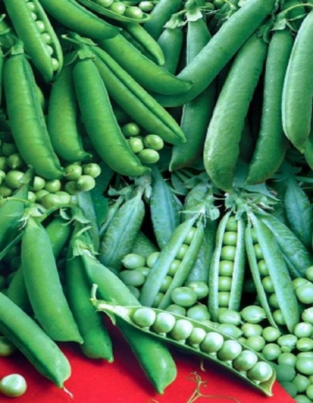 Горох Сахарный деликатес - смесь сладких сортов УД 8 гр цвп 27₽