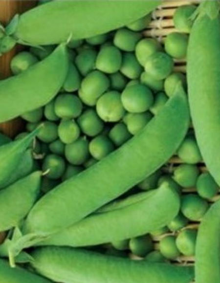 Горох Калипсо УД 8 гр цвп 29₽