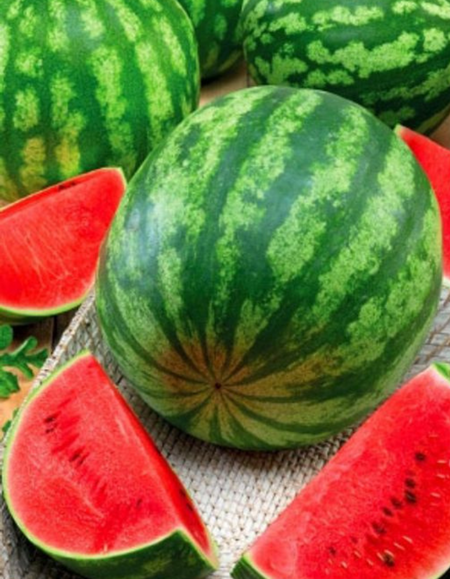 Арбуз Фаворит УД 10 шт цв п 29₽