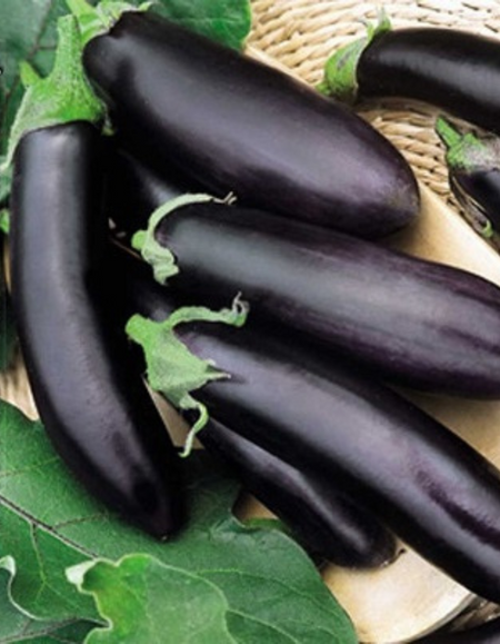 Баклажан Лирика УД 20 шт цвп 29₽