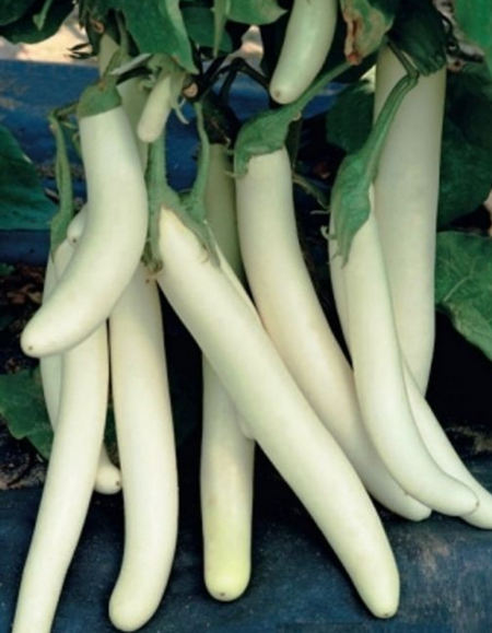 Баклажан Сосулька УД 20 шт цвп 33₽