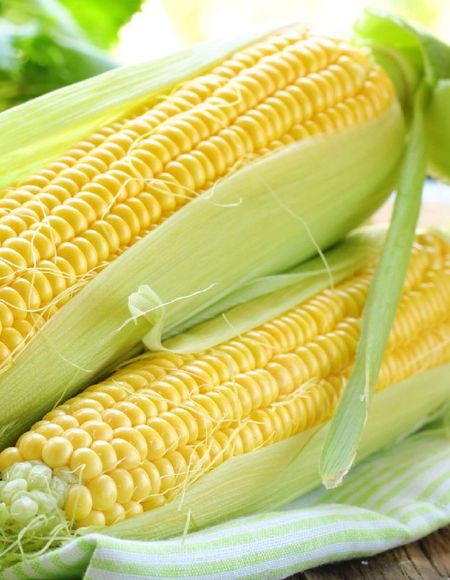 Кукуруза Тройная сладость - сахарная УД 5 гр цвп 25₽