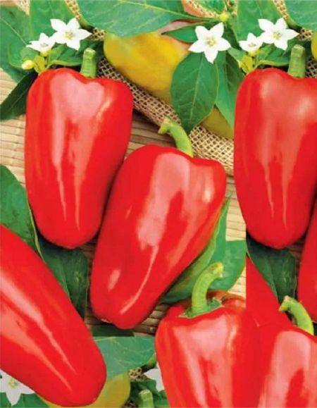 Перец сладкий Казачок УД 20 шт цвп 29₽