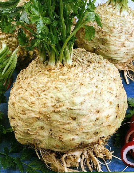 Сельдерей корневой Динамит УД 025 гр цвп 29₽