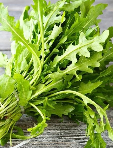 Салат руккола Ореховая УД 03 гр цвп 33₽