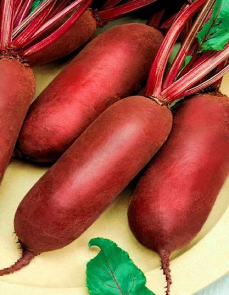 Свекла Русский деликатес - цилиндра УД 2 гр цвп 33₽