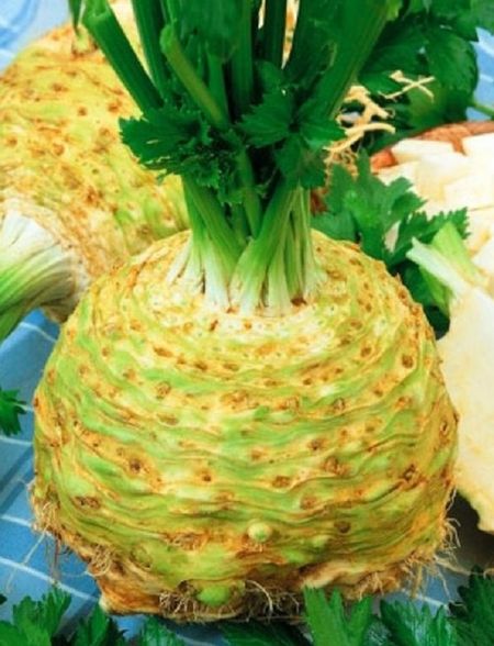 Сельдерей корневой Албин УД 025 гр цвп 29₽