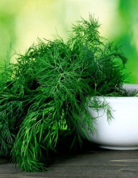 Укроп Симфония УД 2 гр цв п 29₽