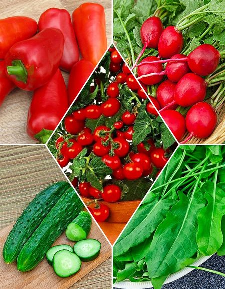 Набор Огород на балконе 18 пакетов 449₽