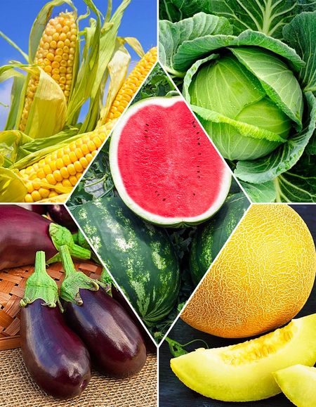 Набор Южный десант 29 пакетов 899₽