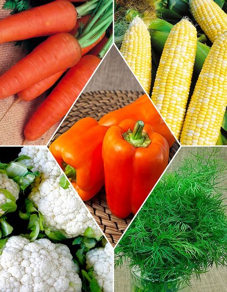 Набор Заморозь1 389₽