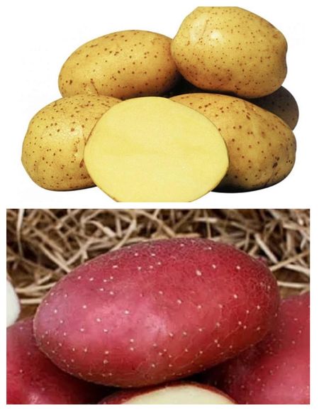 Набор Холодостойкий 2 сорта 2 кг 359₽