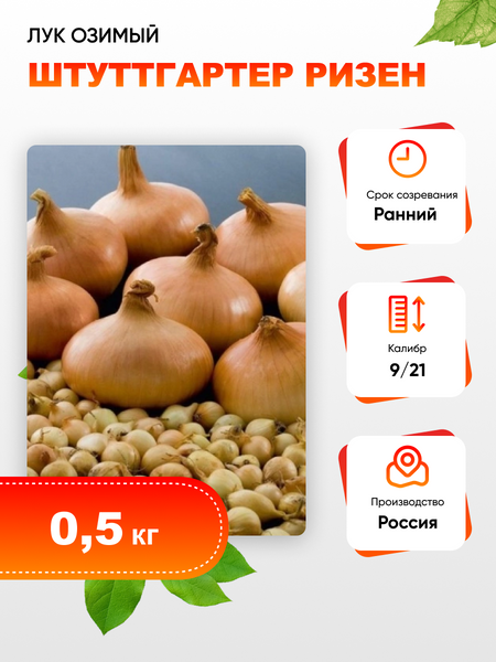 Лук озимый Штуттгартер ризен калибр 914 05 кг 129₽