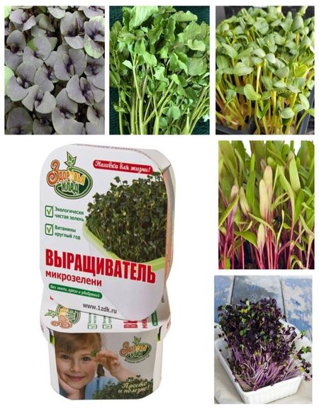 Набор Витаминный 699₽