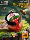 Медовый мусс «Юному защитнику Отечества», с малиной, 30 г