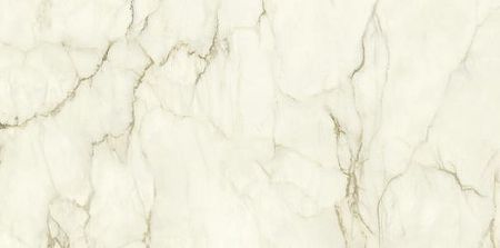 Керамогранит Ariostea Marmi Classici Calacatta Macchia Vecchia luc rett PL612575 60x120 9900₽