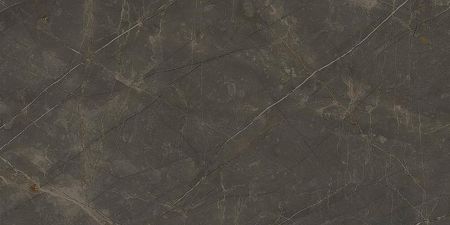 Керамогранит Ariostea Marmi Classici Pulpis Grey luc rett PL612515 60x120 9900₽