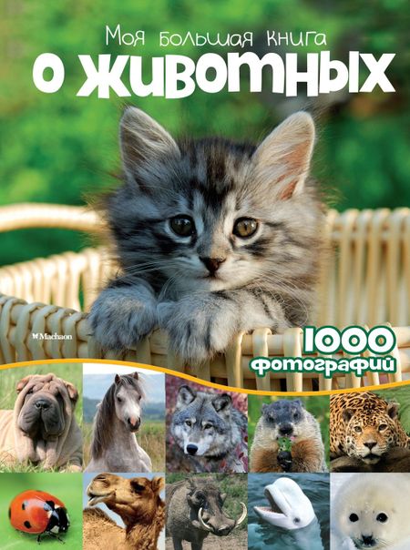 Наталья Куйе Моя большая книга о животных