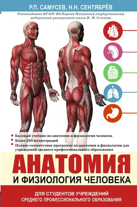 Рудольф Павлович Самусев Анатомия и физиология человека. Учебное пособие для студентов учреждений среднего профессионального образования