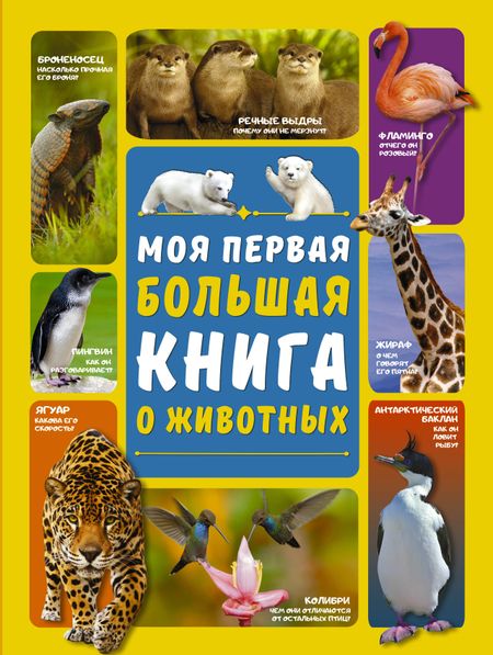 Любовь Дмитриевна Вайткене Моя первая большая книга о животных
