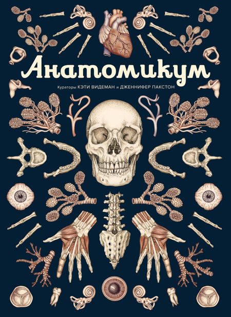 Дженнифер Пакстон Анатомикум