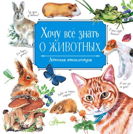 Виталий Николаевич Танасийчук Хочу все знать о животных. Детская энциклопедия
