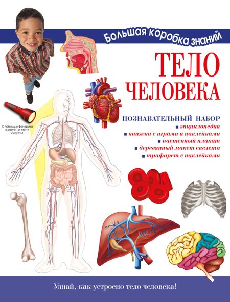 Мария О. Торчинская Тело человека. Познавательный набор