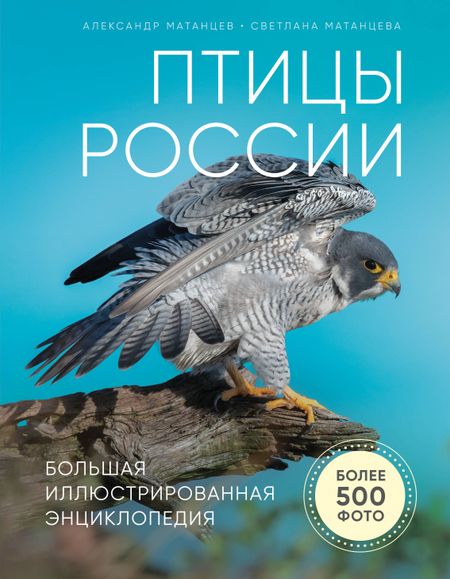 Александр Николаевич Матанцев Птицы России. Большая иллюстрированная энциклопедия