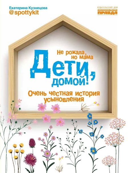 Екатерина Кузнецова Дети, домой! Очень честная история усыновления