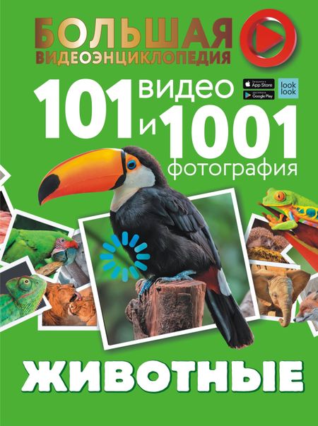 Любовь Дмитриевна Вайткене Животные. 101 видео и 1001 фотография
