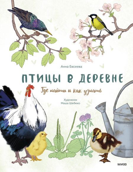 Анна Евсеева Птицы в деревне. Где найти и как узнать