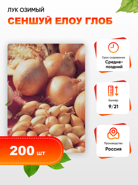 Лук озимый Сеншуй Елоу Глоб калибр 921 200 шт 159₽