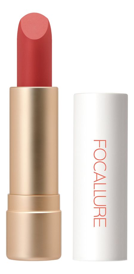 Помада для губ Staymax Powder Matte Lipstick 3г: 03 Tomatina