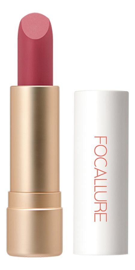 Помада для губ Staymax Powder Matte Lipstick 3г: 05 Holi