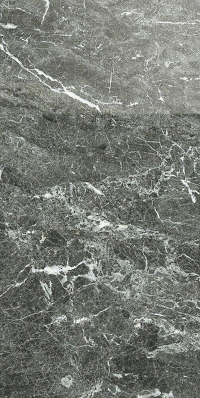 Керамогранит Caesar Anima Grey St Laurent Rett Lucidato ACSR 60х120 см 5350₽