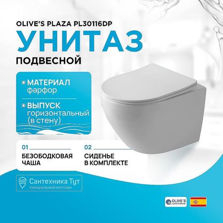 Унитаз Olives Plaza PL30116DP подвесной с сиденьем Микролифт 11632₽