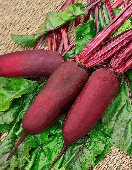 Свекла Цилиндра одноростковая УД 2 гр цвп 27₽