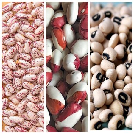 Фасоль смесь Лобио Попугай РябаЧерный глаз 5 гр цвп 36₽