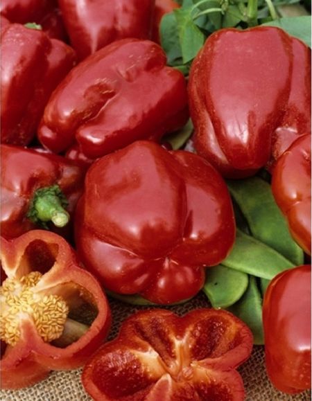 Перец сладкий Калифорния Вондер Ред УД 20 шт цвпСимбиоз 27₽