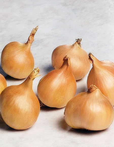 Лук шалот Еллоу Мун 02 г цвпФункциональное питание 59₽